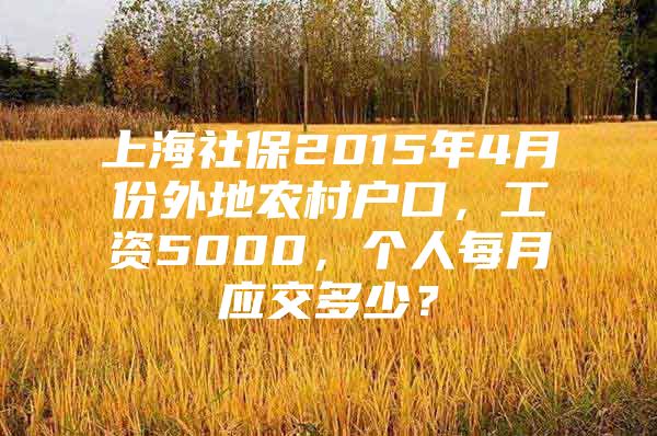 上海社保2015年4月份外地农村户口，工资5000，个人每月应交多少？