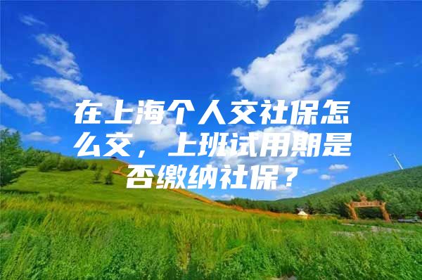 在上海个人交社保怎么交，上班试用期是否缴纳社保？