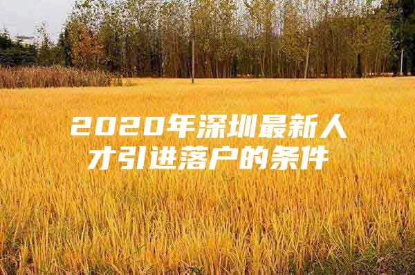 2020年深圳最新人才引进落户的条件