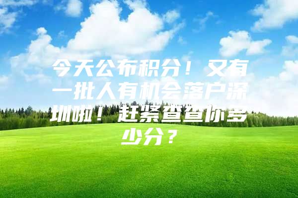 今天公布积分！又有一批人有机会落户深圳啦！赶紧查查你多少分？