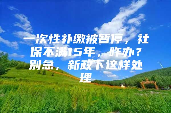 一次性补缴被暂停，社保不满15年，咋办？别急，新政下这样处理