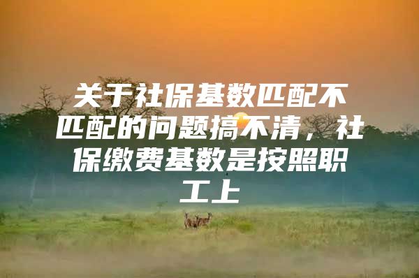 关于社保基数匹配不匹配的问题搞不清，社保缴费基数是按照职工上