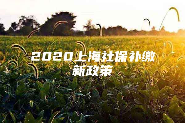 2020上海社保补缴新政策