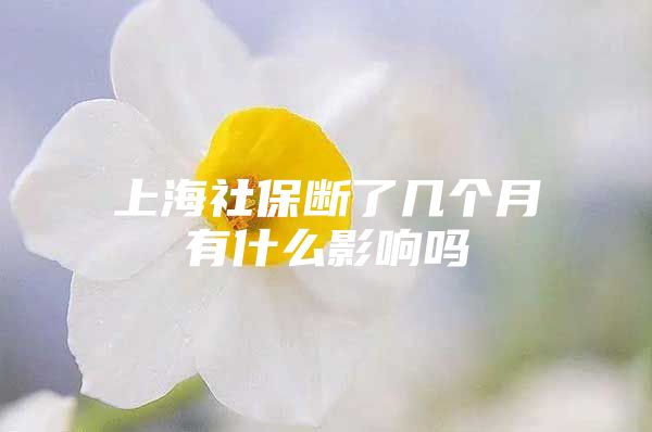 上海社保断了几个月有什么影响吗