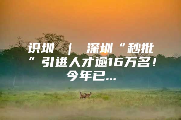 识圳 ｜ 深圳“秒批”引进人才逾16万名！今年已...