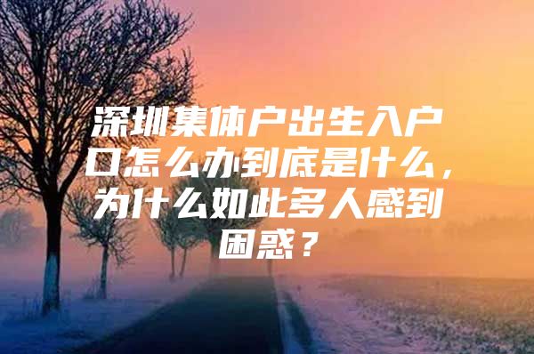 深圳集体户出生入户口怎么办到底是什么，为什么如此多人感到困惑？