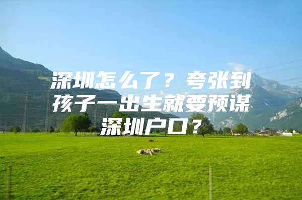 深圳怎么了？夸张到孩子一出生就要预谋深圳户口？