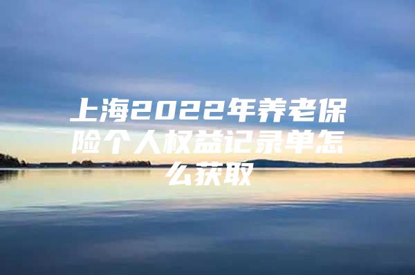 上海2022年养老保险个人权益记录单怎么获取