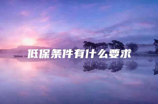 低保条件有什么要求