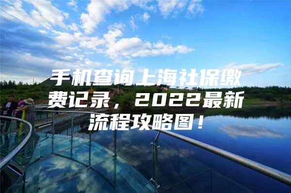 手机查询上海社保缴费记录，2022最新流程攻略图！