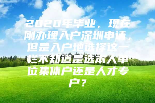 2020年毕业，现在刚办理入户深圳申请，但是入户地选择这一栏不知道是选本人单位集体户还是人才专户？