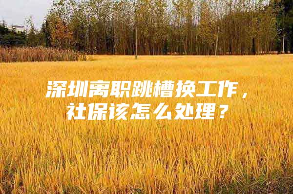 深圳离职跳槽换工作，社保该怎么处理？