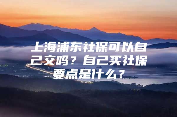 上海浦东社保可以自己交吗？自己买社保要点是什么？