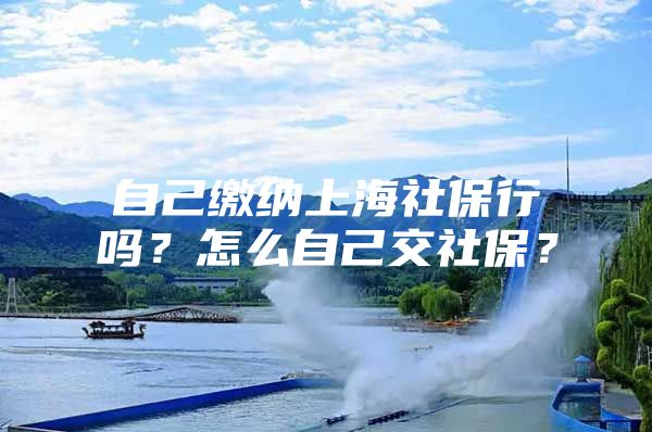 自己缴纳上海社保行吗？怎么自己交社保？