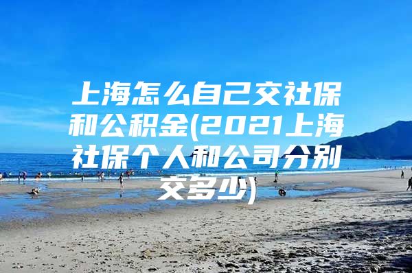 上海怎么自己交社保和公积金(2021上海社保个人和公司分别交多少)