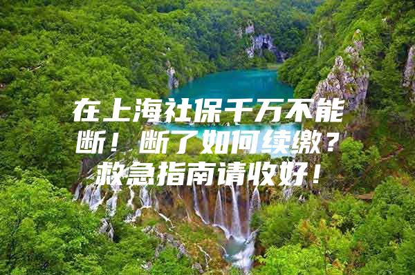 在上海社保千万不能断！断了如何续缴？救急指南请收好！