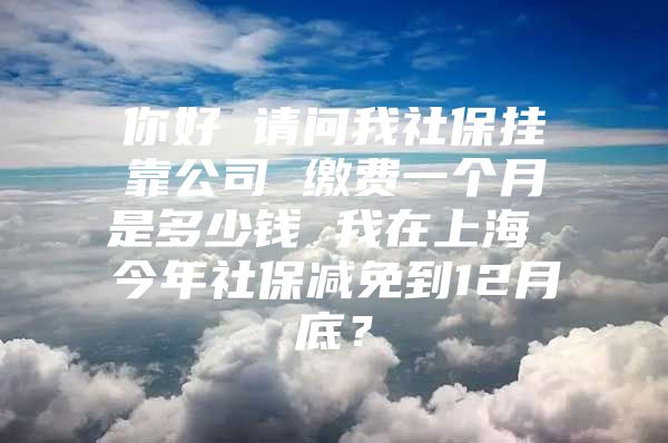 你好 请问我社保挂靠公司 缴费一个月是多少钱 我在上海 今年社保减免到12月底？