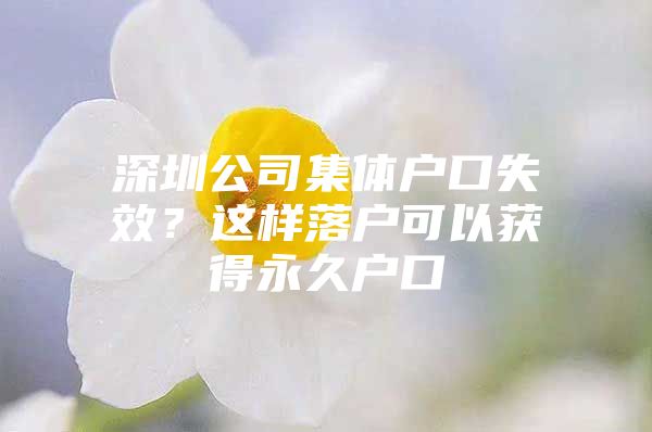 深圳公司集体户口失效？这样落户可以获得永久户口