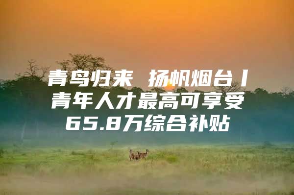 青鸟归来 扬帆烟台丨青年人才最高可享受65.8万综合补贴