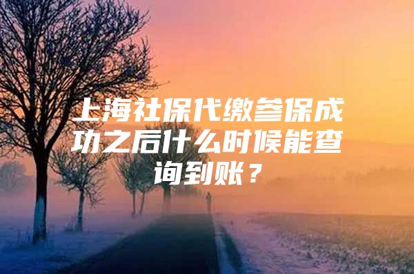 上海社保代缴参保成功之后什么时候能查询到账？