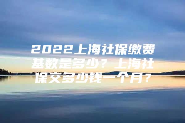 2022上海社保缴费基数是多少？上海社保交多少钱一个月？