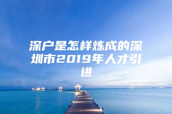 深户是怎样炼成的深圳市2019年人才引进