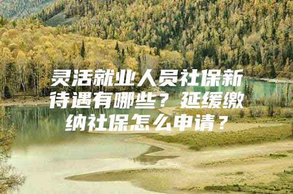 灵活就业人员社保新待遇有哪些？延缓缴纳社保怎么申请？