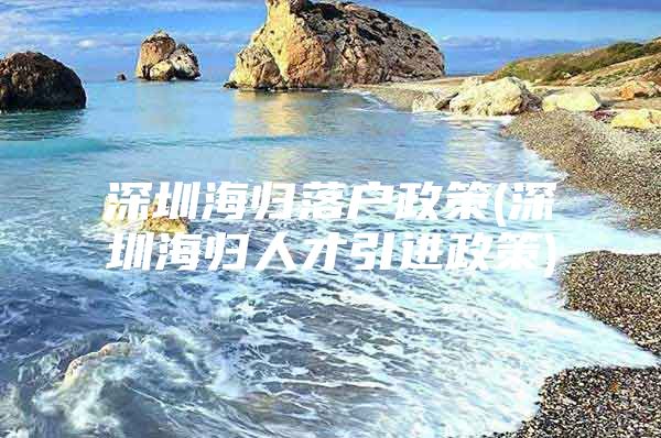 深圳海归落户政策(深圳海归人才引进政策)