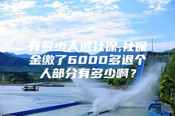 有多少人退社保,社保金缴了6000多退个人部分有多少啊？