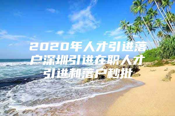 2020年人才引进落户深圳引进在职人才引进和落户秒批