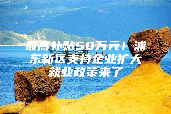 最高补贴50万元！浦东新区支持企业扩大就业政策来了