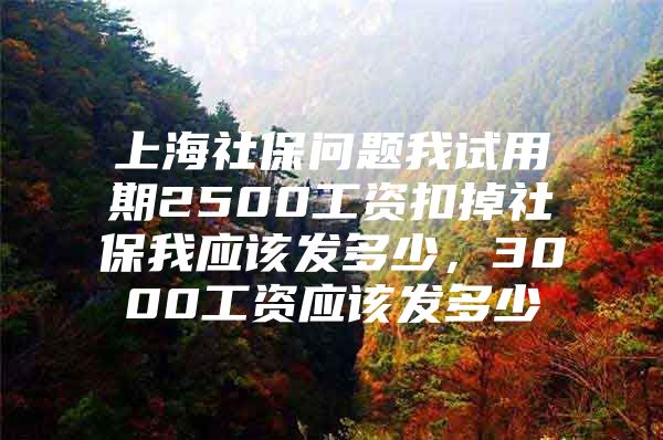 上海社保问题我试用期2500工资扣掉社保我应该发多少，3000工资应该发多少