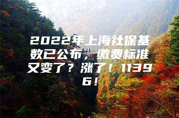 2022年上海社保基数已公布，缴费标准又变了？涨了！11396！