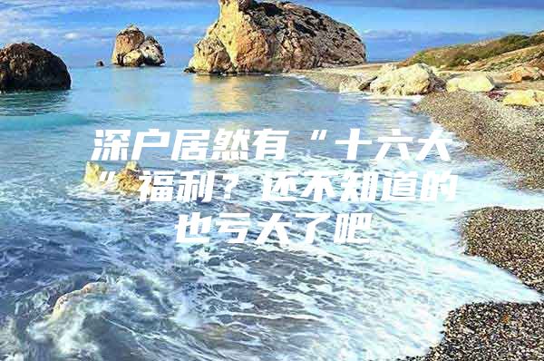 深户居然有“十六大”福利？还不知道的也亏大了吧