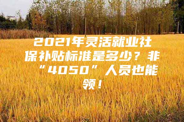 2021年灵活就业社保补贴标准是多少？非“4050”人员也能领！