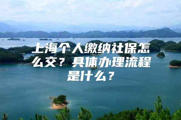 上海个人缴纳社保怎么交？具体办理流程是什么？