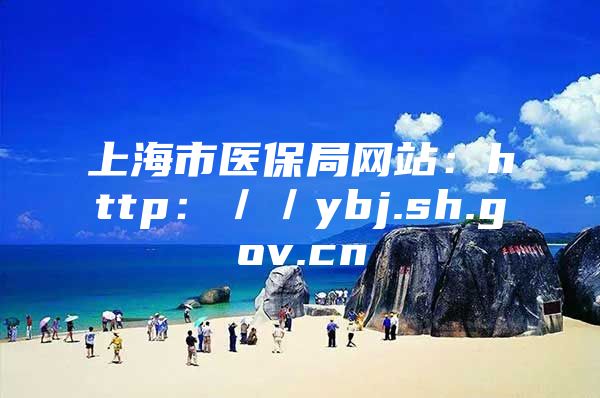 上海市医保局网站：http：／／ybj.sh.gov.cn