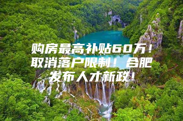 购房最高补贴60万！取消落户限制！合肥发布人才新政！