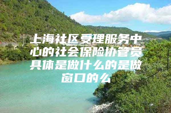 上海社区受理服务中心的社会保险协管员具体是做什么的是做窗口的么