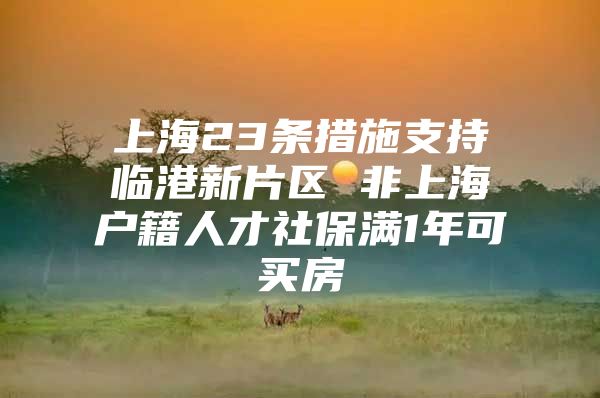 上海23条措施支持临港新片区 非上海户籍人才社保满1年可买房