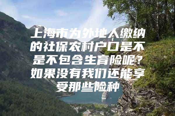 上海市为外地人缴纳的社保农村户口是不是不包含生育险呢？如果没有我们还能享受那些险种