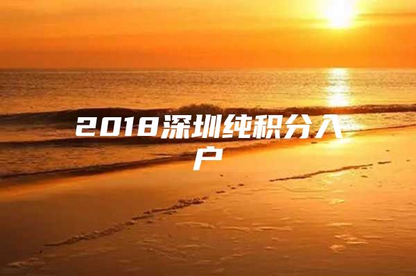 2018深圳纯积分入户