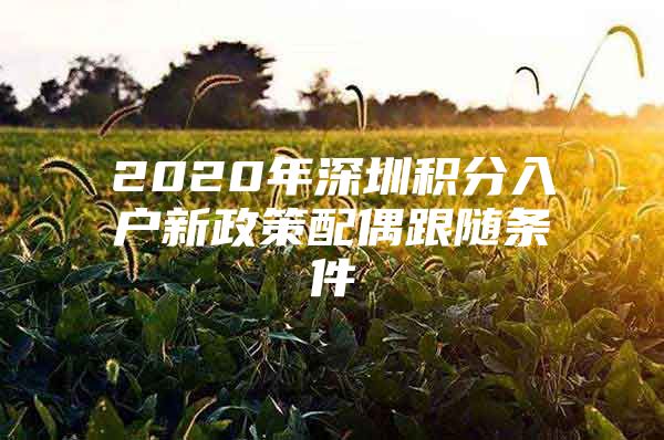 2020年深圳积分入户新政策配偶跟随条件