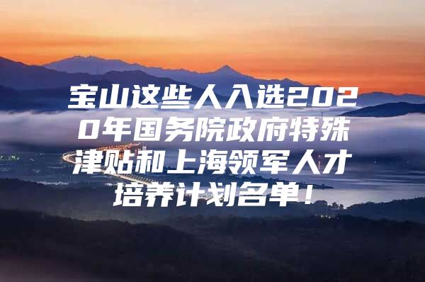 宝山这些人入选2020年国务院政府特殊津贴和上海领军人才培养计划名单！