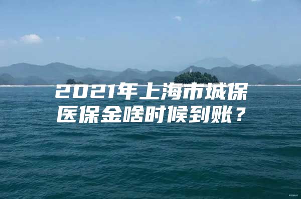 2021年上海市城保医保金啥时候到账？