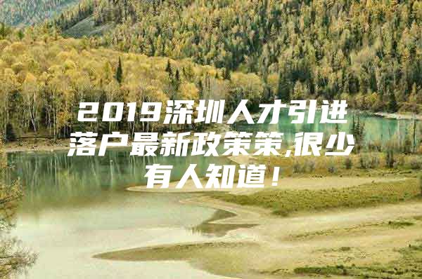 2019深圳人才引进落户最新政策策,很少有人知道！