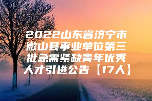 2022山东省济宁市微山县事业单位第三批急需紧缺青年优秀人才引进公告【17人】