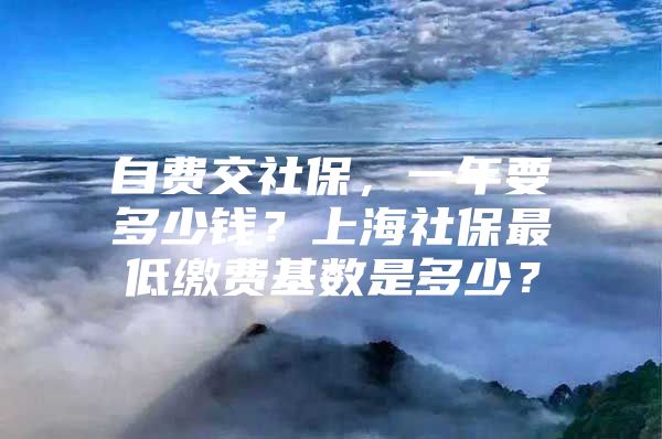 自费交社保，一年要多少钱？上海社保最低缴费基数是多少？