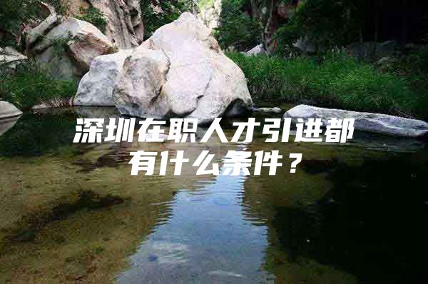 深圳在职人才引进都有什么条件？