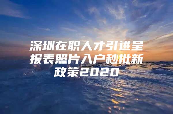 深圳在职人才引进呈报表照片入户秒批新政策2020